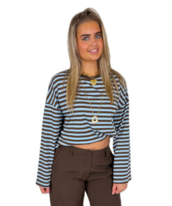 STRIPED LONGSLEEVE BROWN/BLUE